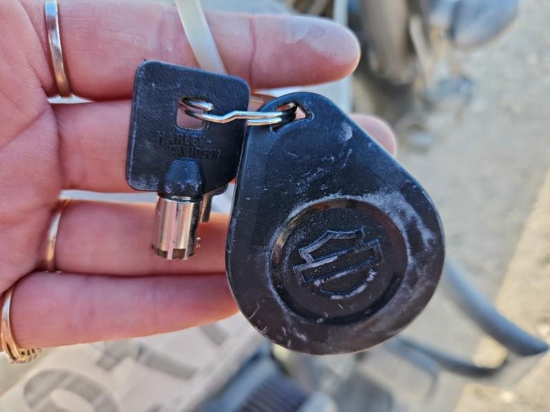 HARLEY-DAVIDSON FL 2020