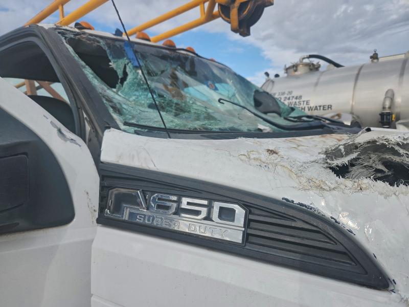 Фото 9 - FORD F650