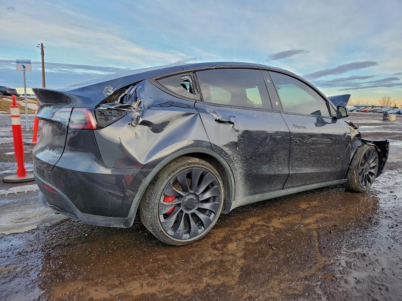 Фото 3 - TESLA MODEL Y