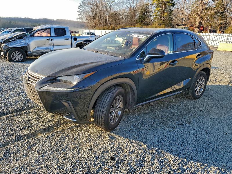 Фото 1 - LEXUS NX