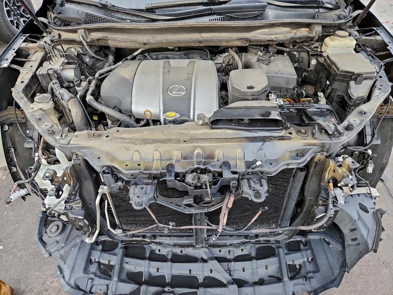 Фото 12 - LEXUS RX350