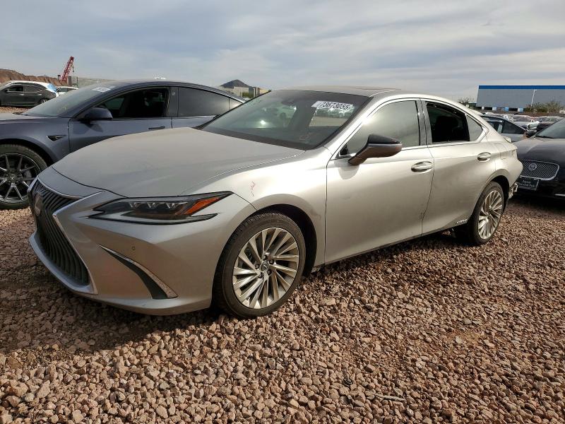 LEXUS ES300 2019 VIN 58AB21B15KU002793