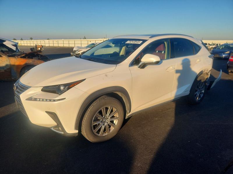 Фото 1 - LEXUS NX