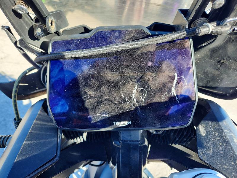 TRIUMPH TIGER 900 2024