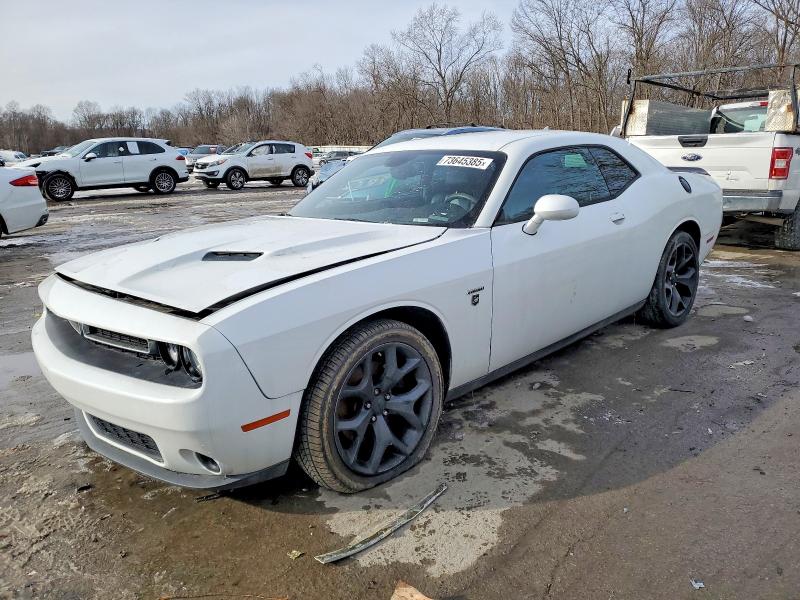 Фото 1 - DODGE CHALLENGER