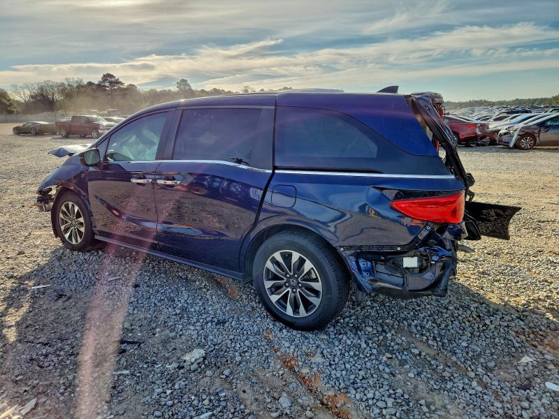 Фото 2 - HONDA All Models