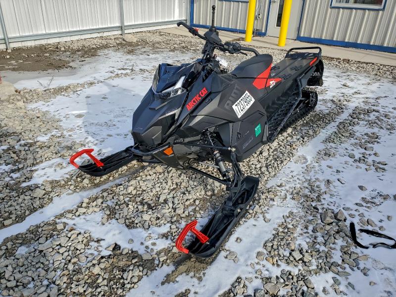 ARCTIC-CAT C CAT RIOT 2024