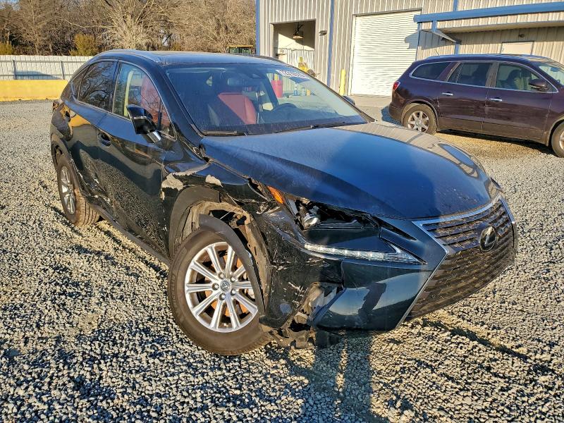 Фото 4 - LEXUS NX