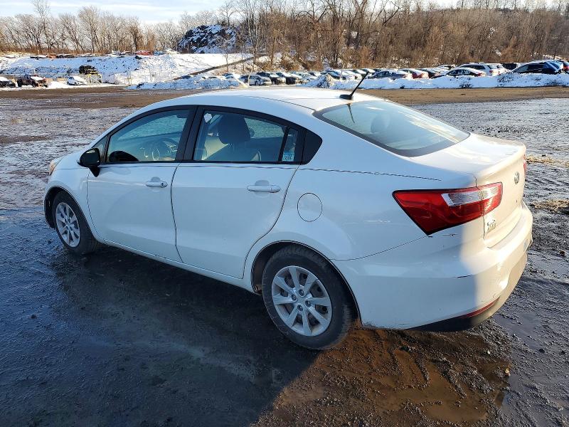Фото 2 - KIA RIO
