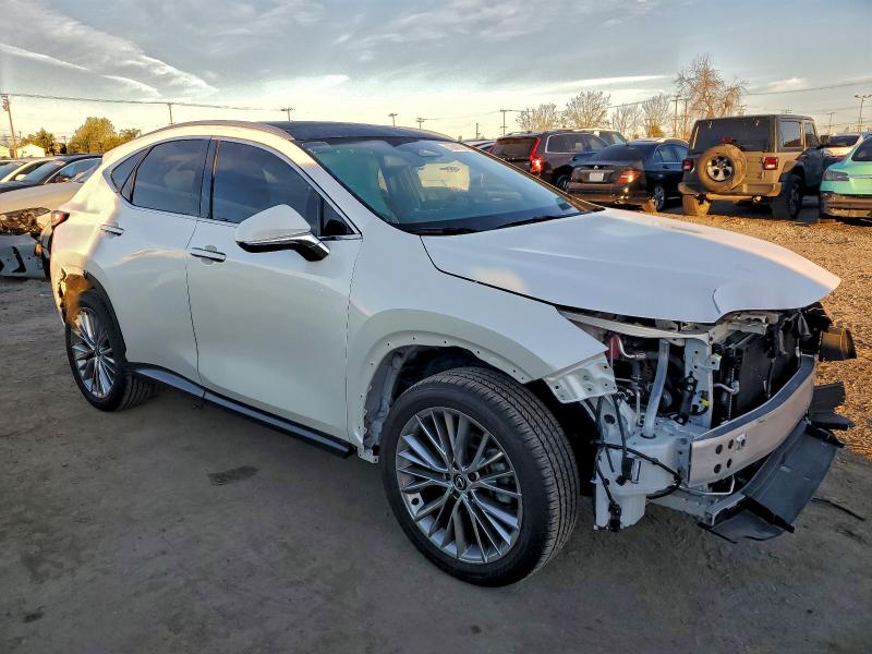 LEXUS NX 350 LUX 2024 VIN 2T2HGCEZ1RC048676