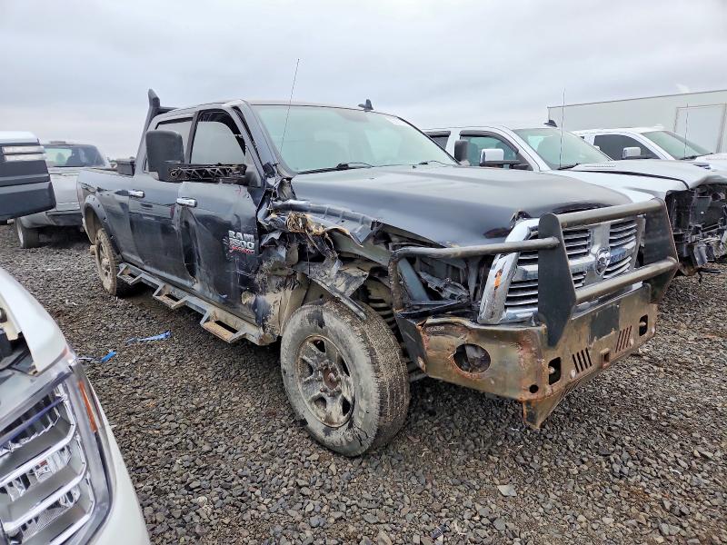 Фото 4 - RAM All Models