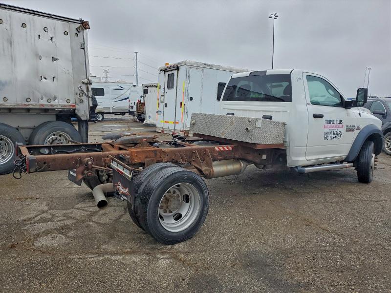 Фото 3 - RAM All Models