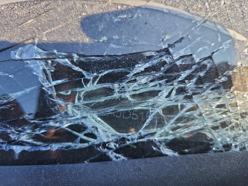 Фото 12 - JAGUAR F-TYPE