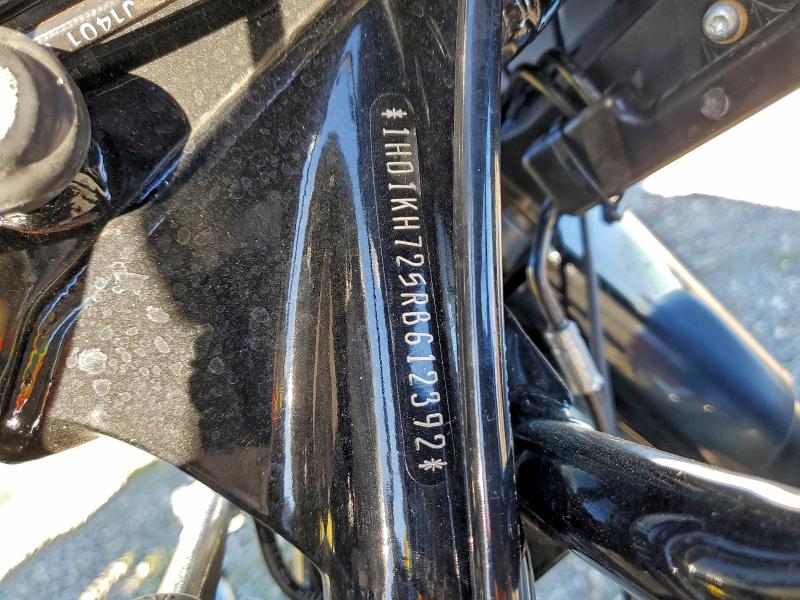 HARLEY-DAVIDSON FL 2024