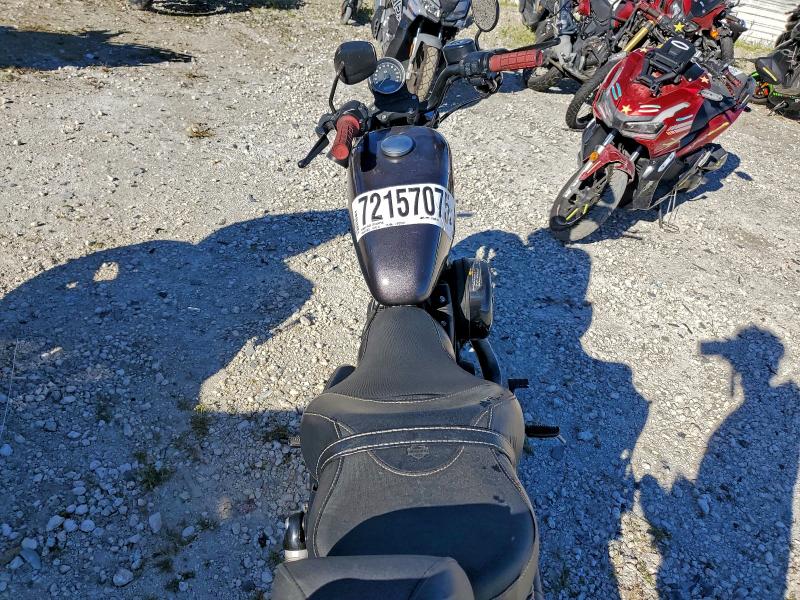 HARLEY-DAVIDSON XL883 N 2019