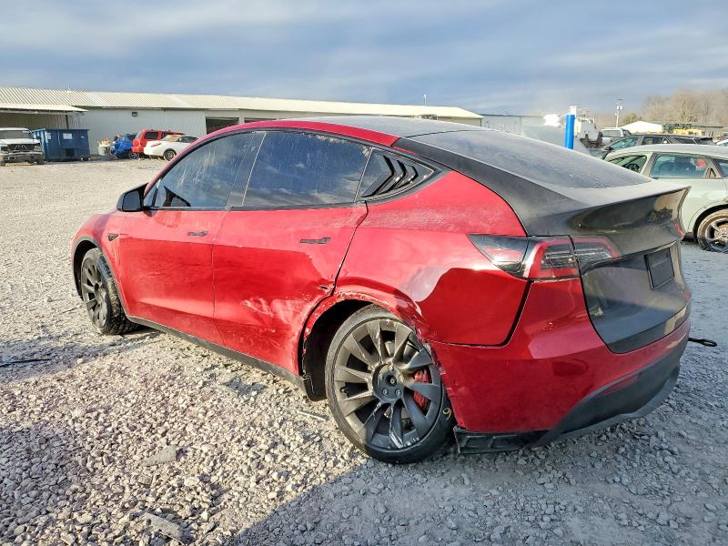 Фото 2 - TESLA MODEL Y