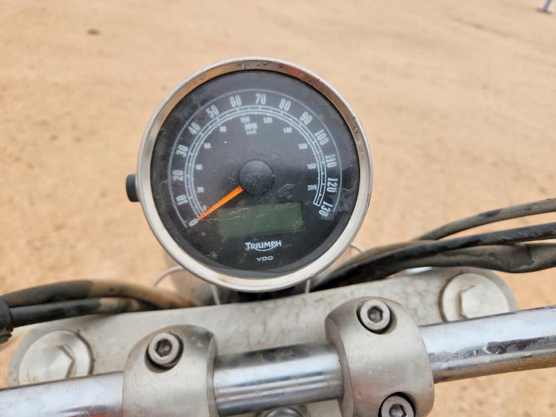 TRIUMPH AMERICA 2014