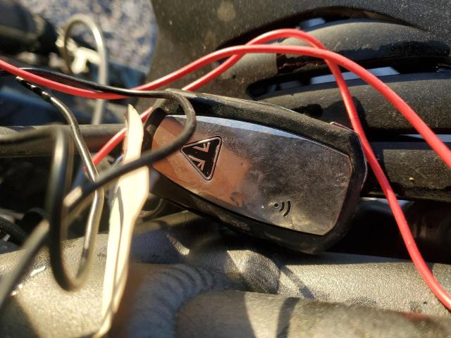 TRIUMPH SPEEDTRIPL 2020