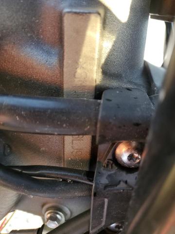 TRIUMPH SPEEDTRIPL 2020