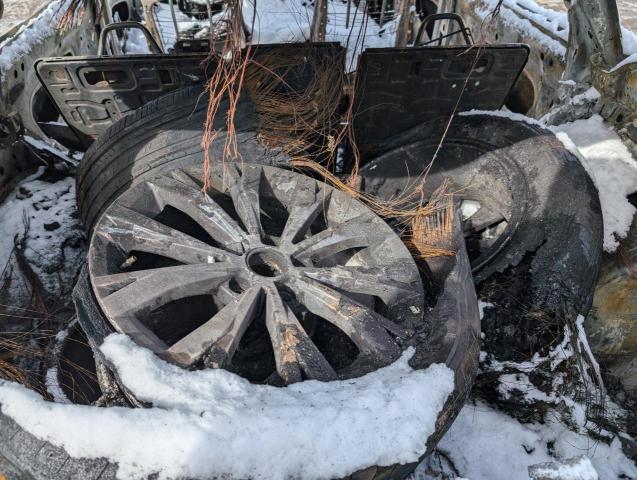 Фото 11 - VOLKSWAGEN TIGUAN