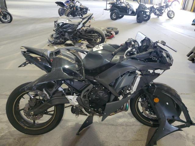 KAWASAKI EX650 P 2024