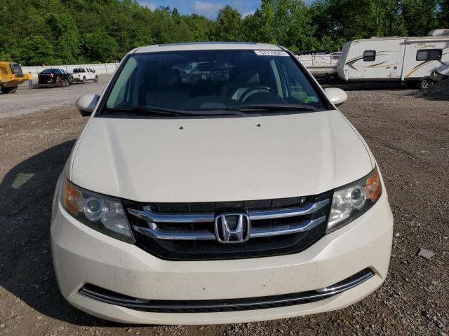 Фото 5 - HONDA All Models