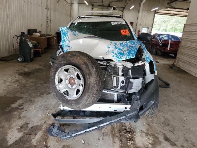 Фото 5 - TOYOTA TACOMA