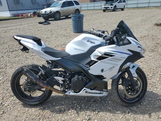 KAWASAKI ALL OTHER 2023