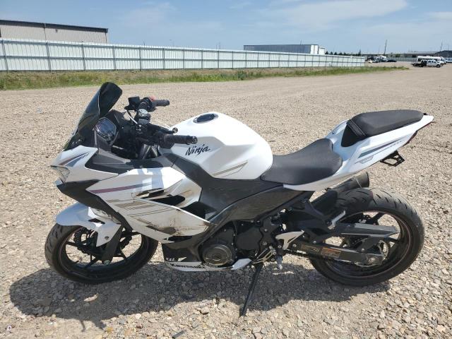 KAWASAKI ALL OTHER 2023