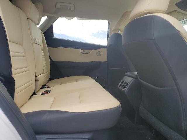 Фото 11 - LEXUS NX