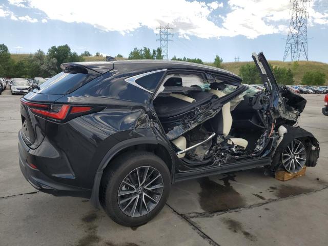 LEXUS NX 250 2023 VIN 2T2GDCAZ3PC005772