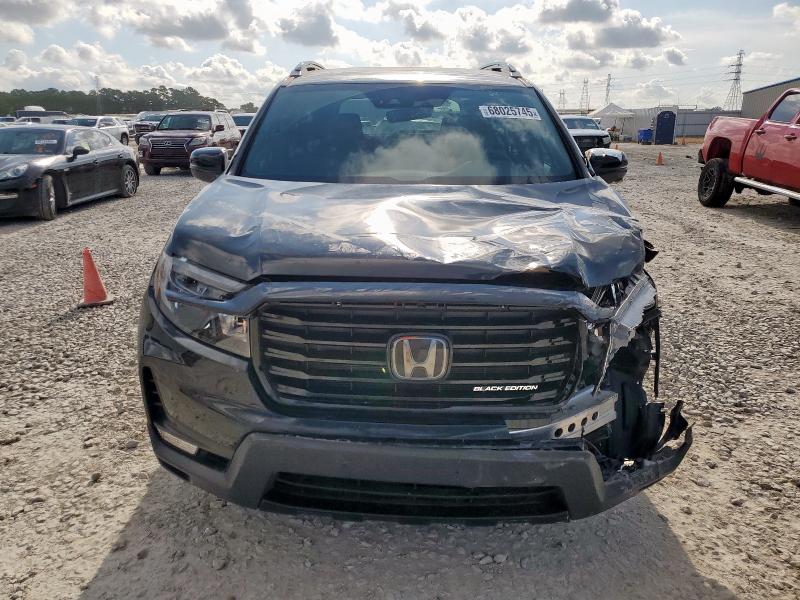 HONDA PASSPORT B 2024 VIN 5FNYF8H86RB002604