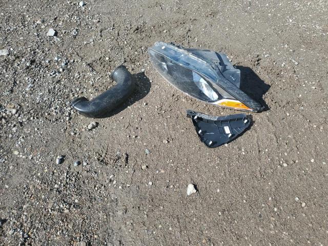 Фото 13 - HONDA All Models