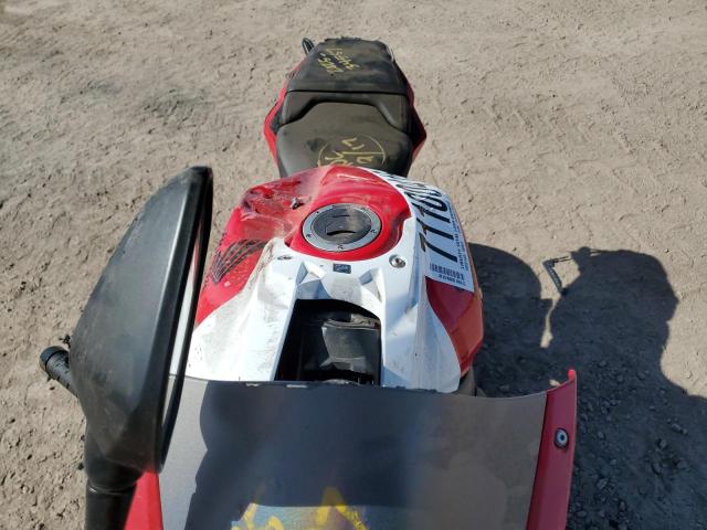 HONDA CBR CYCLE 2023