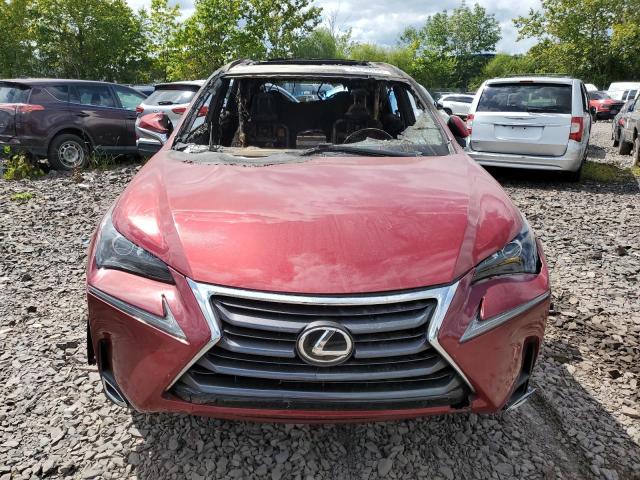 Фото 5 - LEXUS NX