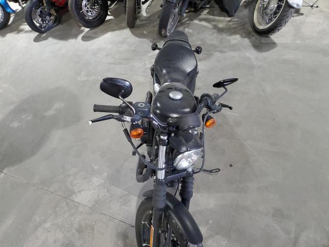 HARLEY-DAVIDSON XL883 N 2021