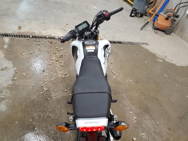 HONDA GROM 2024
