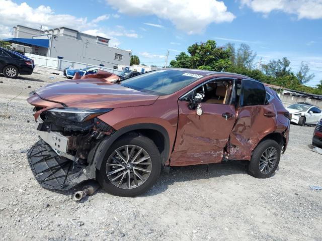 LEXUS NX 250 BAS 2025 VIN 2T2ADCAZ8SC022548