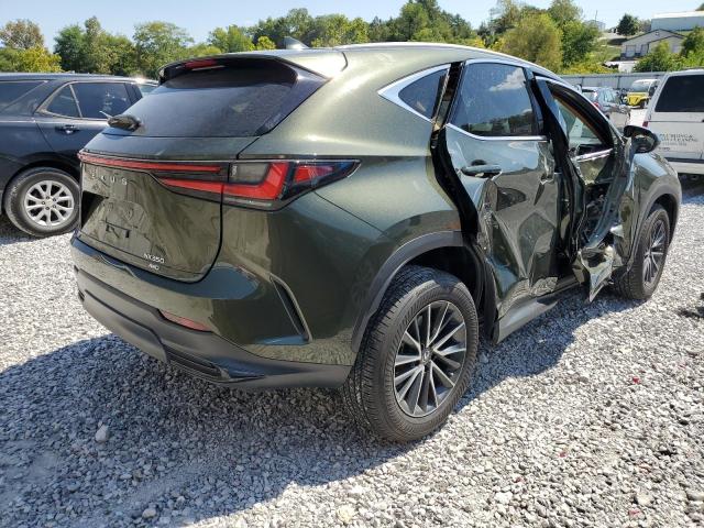 LEXUS NX 350 2023 VIN 2T2GGCEZ5PC020162
