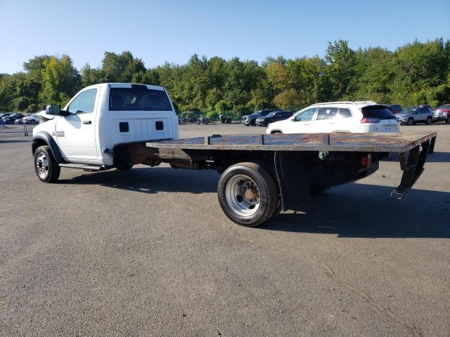 Фото 2 - RAM All Models