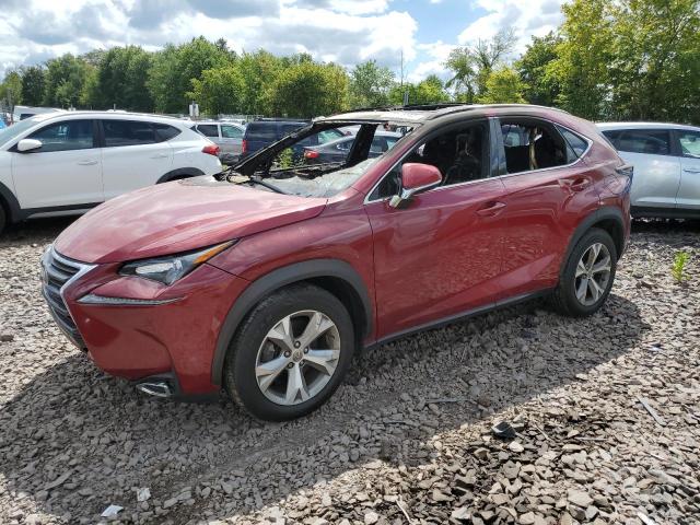 Фото 1 - LEXUS NX