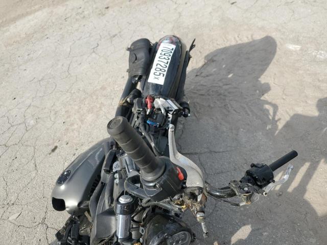 INDIAN SCOUT ROGU 2022