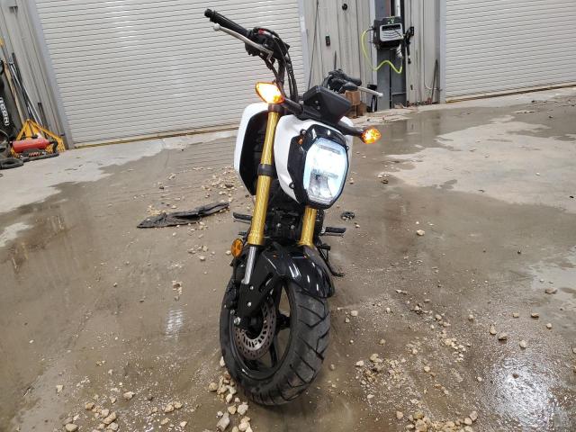 HONDA GROM 2024