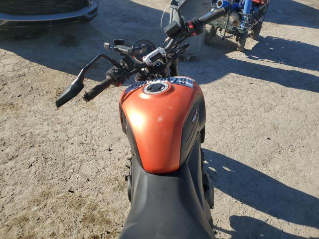 TRIUMPH TRIDENT 66 2023