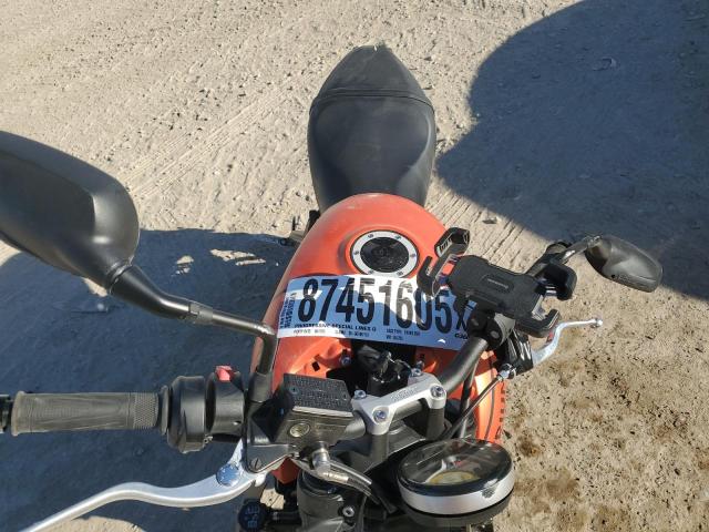 TRIUMPH TRIDENT 66 2023