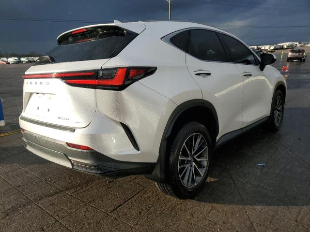 LEXUS NX 250 PRE 2024 VIN JTJGDCAZXR5016818