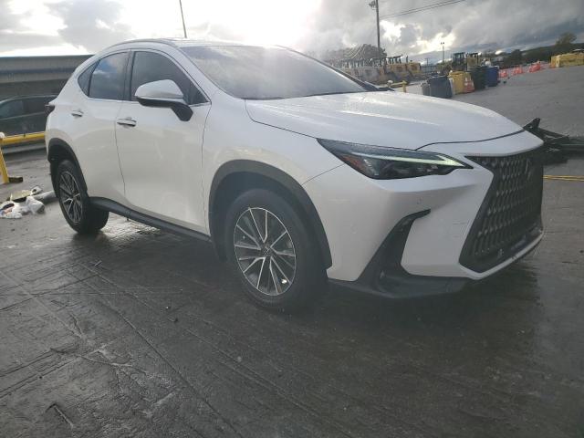 LEXUS NX 250 PRE 2024 VIN JTJGDCAZXR5016818