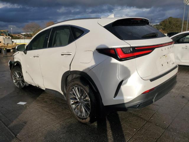 LEXUS NX 250 PRE 2024 VIN JTJGDCAZXR5016818
