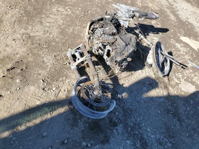 DUCATI MULTISTRAD 2024