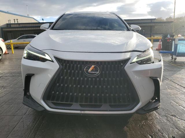 LEXUS NX 250 PRE 2024 VIN JTJGDCAZXR5016818